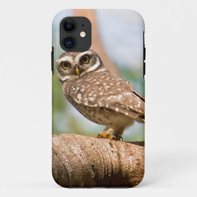 Spotted owl on morning flight. Case-Mate iPhone case (Back)