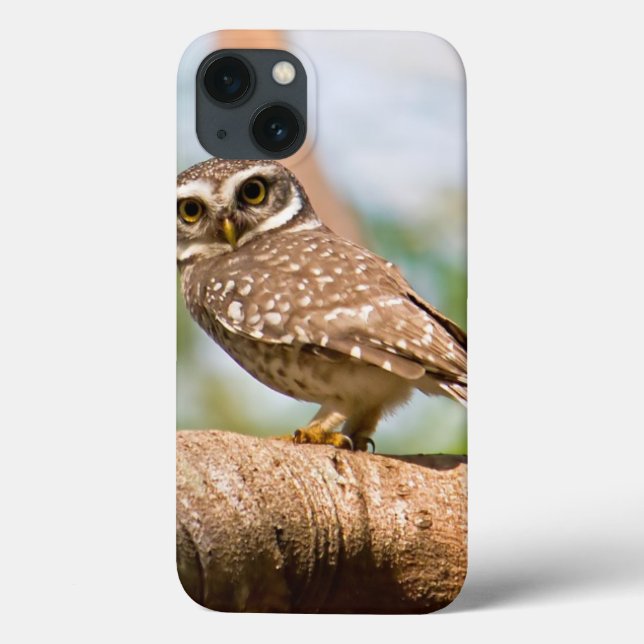 Spotted owl on morning flight. Case-Mate iPhone case (Back)