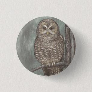 Spotted Owl Pin