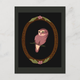 Spotted Owl Postcard