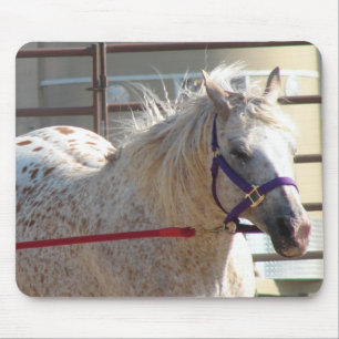 Spotted Pony Mouse Mat