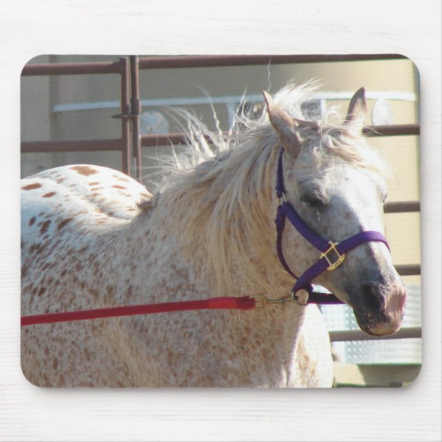 Spotted Pony Mouse Mat (Front)