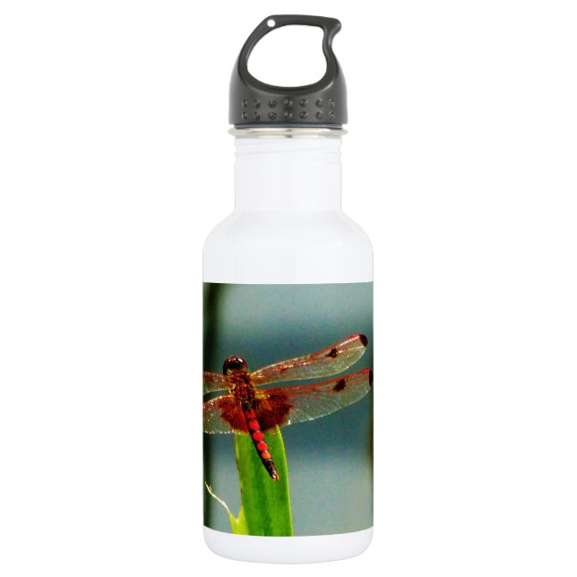 Spotted  Red and Black Dragonfly 532 Ml Water Bottle (Front)