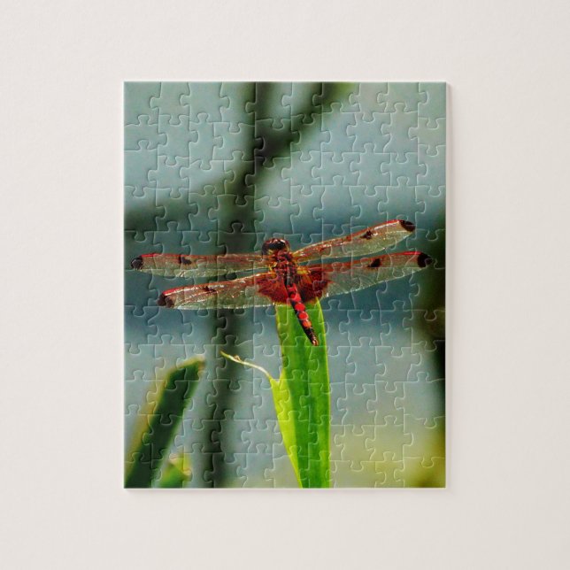 Spotted  Red and Black Dragonfly Jigsaw Puzzle (Vertical)
