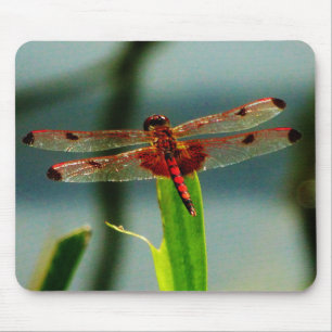 Spotted Red and Black Dragonfly Mouse Mat