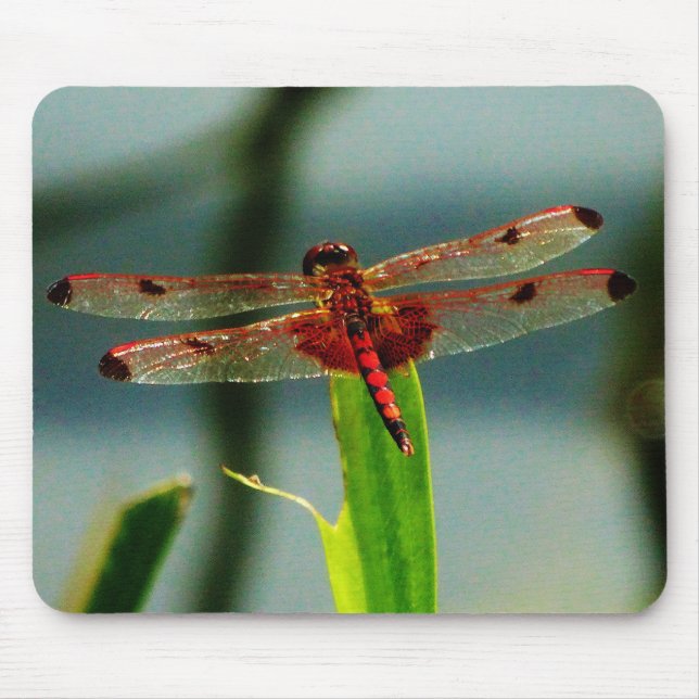 Spotted  Red and Black Dragonfly Mouse Mat (Front)