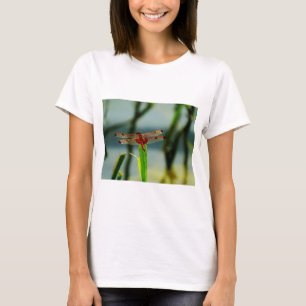 Spotted  Red and Black Dragonfly T-Shirt