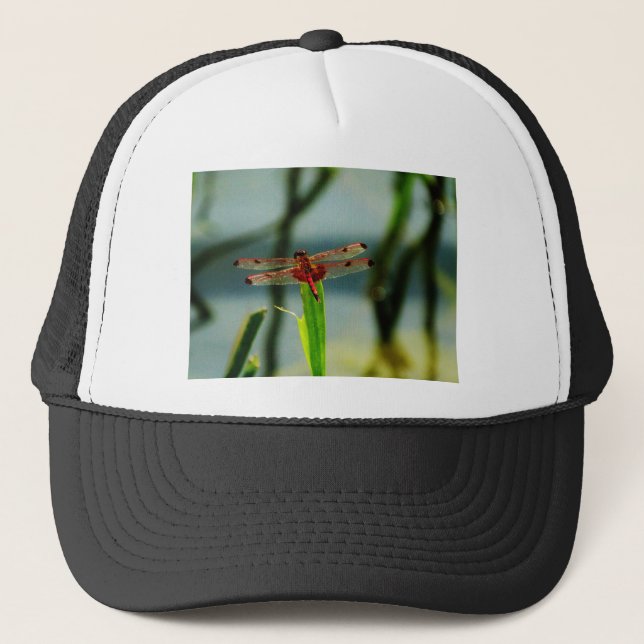 Spotted  Red and Black Dragonfly Trucker Hat (Front)