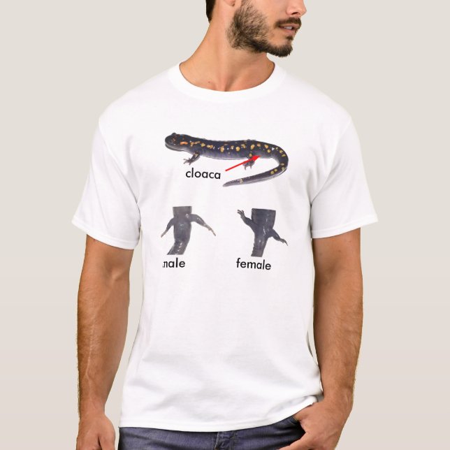 Spotted Salamander Male Vs. Female Shirt (Front)