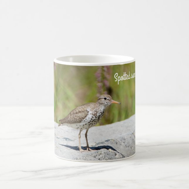 Spotted Sandpiper Coffee Mug (Center)