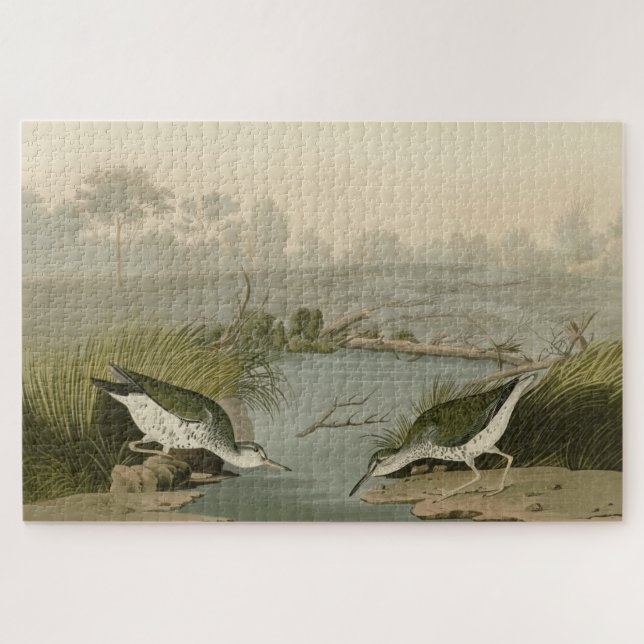Spotted Sandpiper from Audubon's Birds of America Jigsaw Puzzle (Horizontal)
