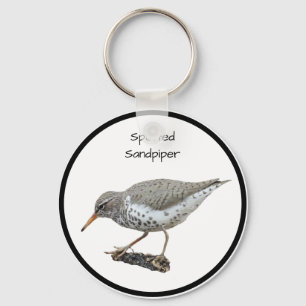 Spotted Sandpiper Key Ring
