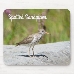 Spotted Sandpiper Mouse Mat