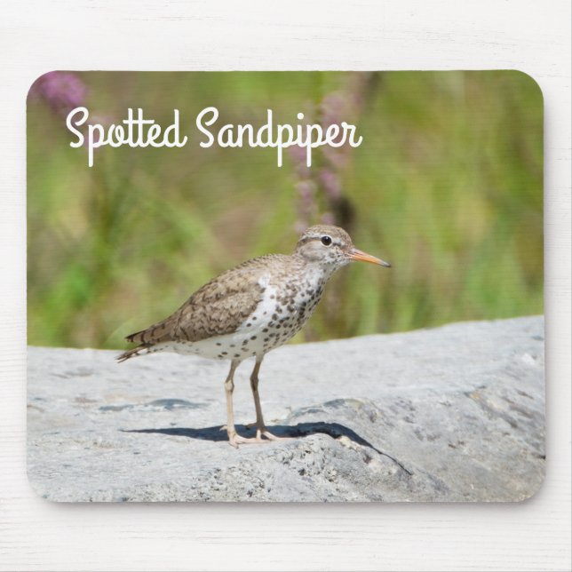 Spotted Sandpiper Mouse Mat (Front)