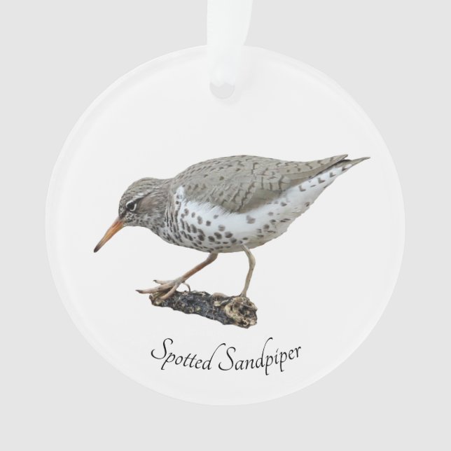 Spotted Sandpiper Ornament (Front)