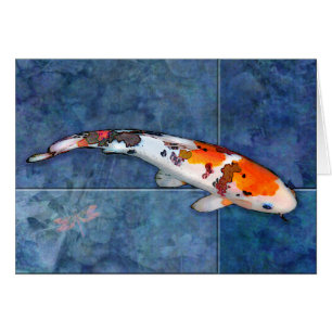Spotted Sanke Koi in Tiled Pool with Dragonfly
