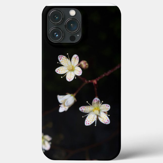 Spotted Saxifrage for phones Case-Mate iPhone Case (Back)