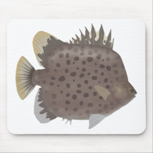 Spotted Scat Mouse Mat