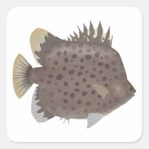 Spotted Scat Square Sticker
