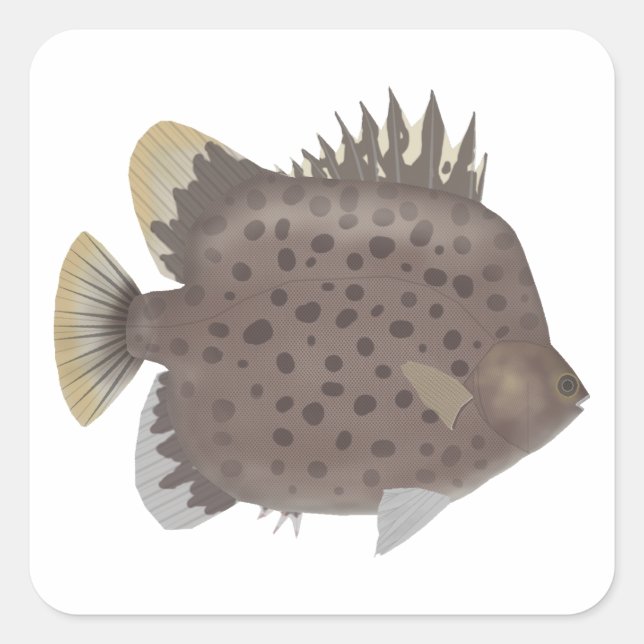 Spotted Scat Square Sticker (Front)