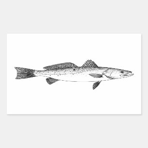 Spotted Seatrout - Speckled Trout Vintage Line Art Rectangular Sticker