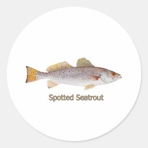 Spotted Seatrout (titled) Classic Round Sticker