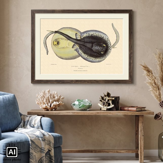 Spotted Stingrays, Vintage Marine Ocean Animals Poster (Vintage illustration marine life textbook science design featuring blue-spotted ribbontail stingrays)