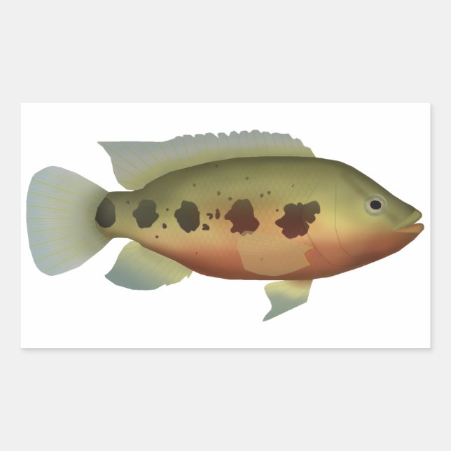 Spotted Tilapia Rectangular Sticker (Front)