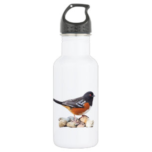 SPOTTED TOWHEE 532 ML WATER BOTTLE