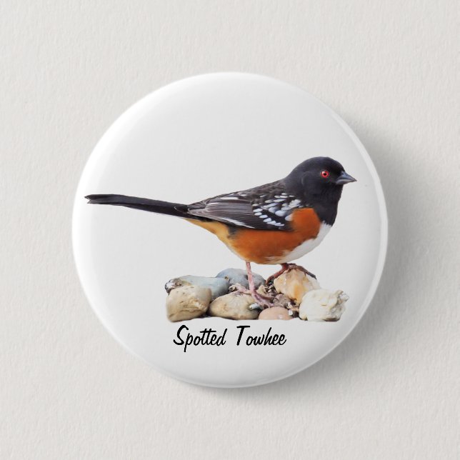 SPOTTED TOWHEE 6 CM ROUND BADGE (Front)