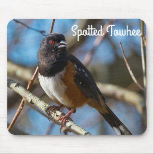 Spotted Towhee Mouse Mat