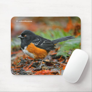 Spotted Towhee Sparrow in Autumn Leaf Litter Mouse Mat