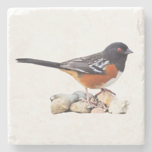 SPOTTED TOWHEE STONE COASTER (Front)