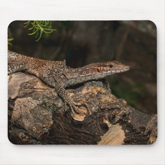 Spotted Tree Monitor Mouse Mat (Front)