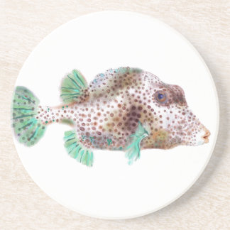 Spotted Trunkfish Coaster