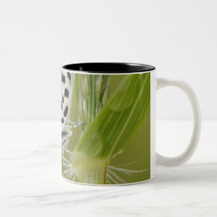 Spotted white butterfly resting on grass stem, Two-Tone coffee mug