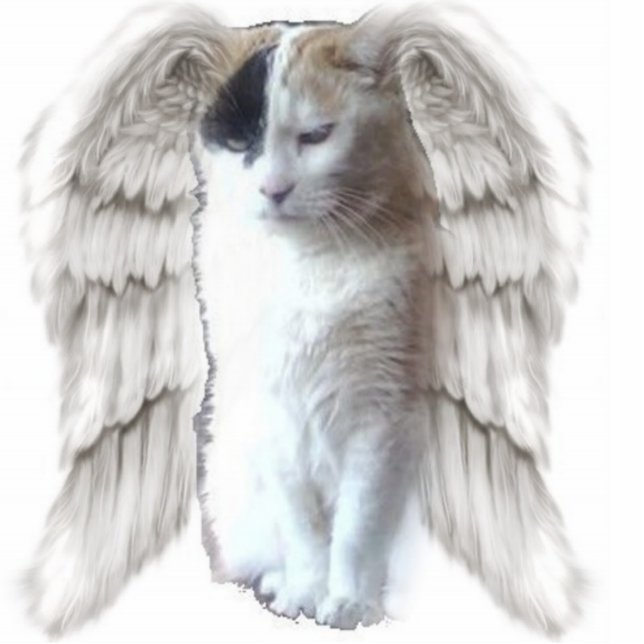 Spotty Angel Photo Sculpture (Front)