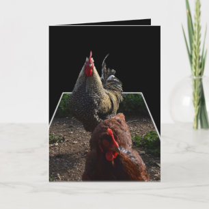 Spotty_Fluffy_Rooster_Pop_Out_Greeting_Card Card