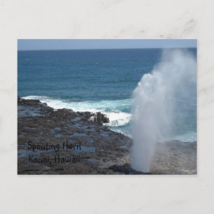 Spouting Horn Kauai, Hawaii Postcard