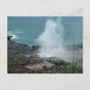 Spouting Horn Postcard