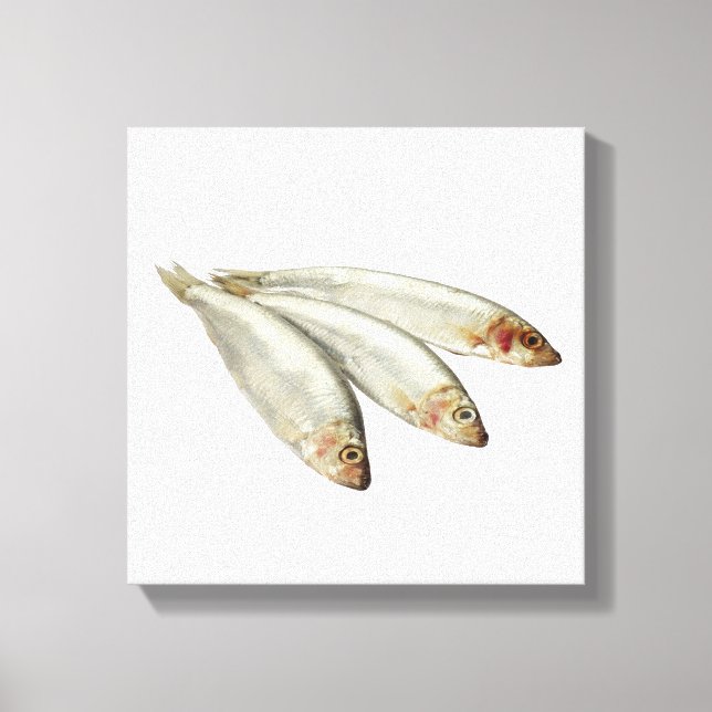 Sprats Canvas Print (Front)