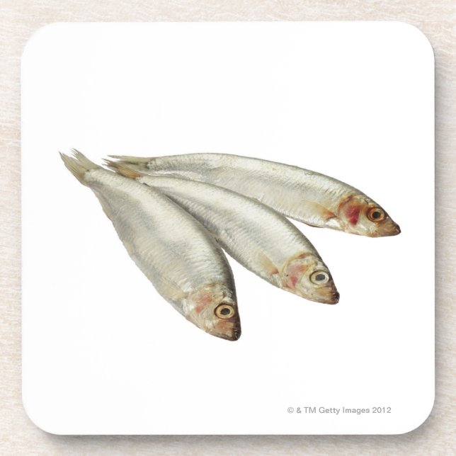 Sprats Coaster (Front)