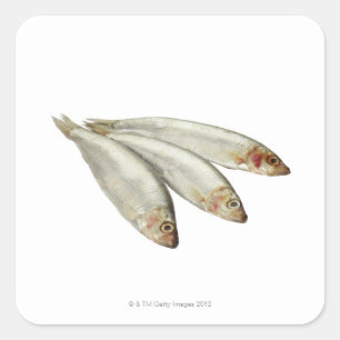Sprats Square Sticker