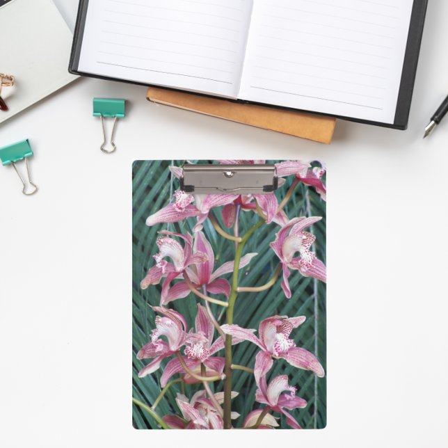 Spray of Pink Cymbidium Orchids Floral Clipboard (In Situ)