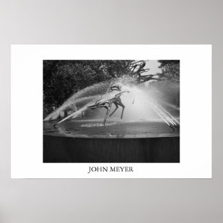 Spraying Fountain Poster
