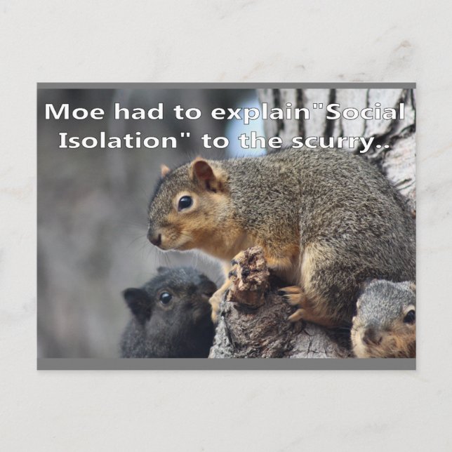 Spread out postcard (Front)
