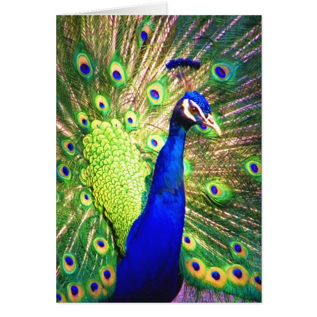 Spread The Love (Front)