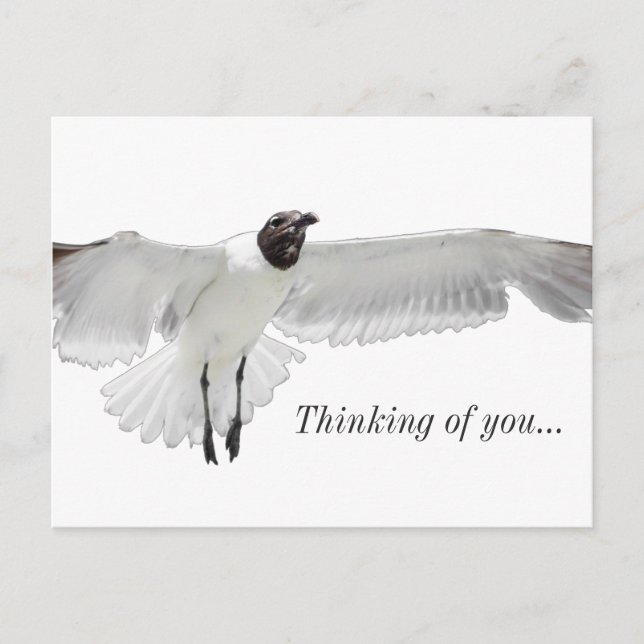 Spread Those Wings PNG Thinking Of You Postcard (Front)