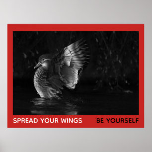 Spread Your Wings Be Yourself Mandarin Duck Photo Poster