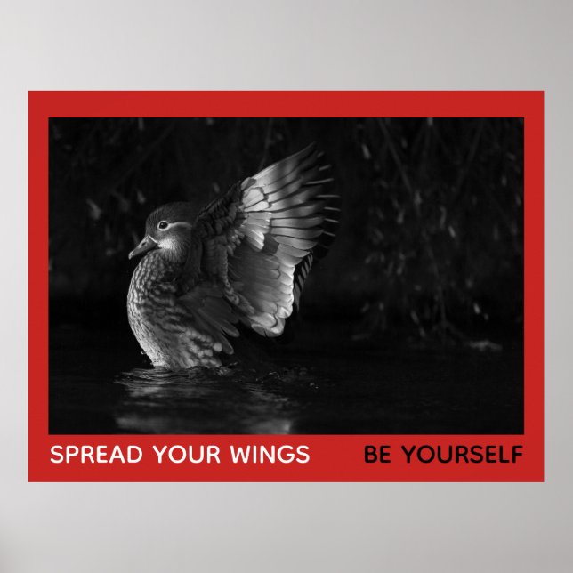 Spread Your Wings Be Yourself Mandarin Duck Photo Poster (Front)